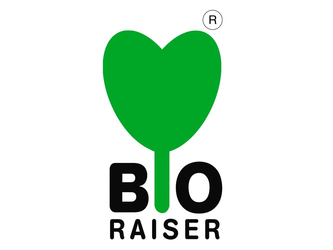 Editable Bio Raiser Partners